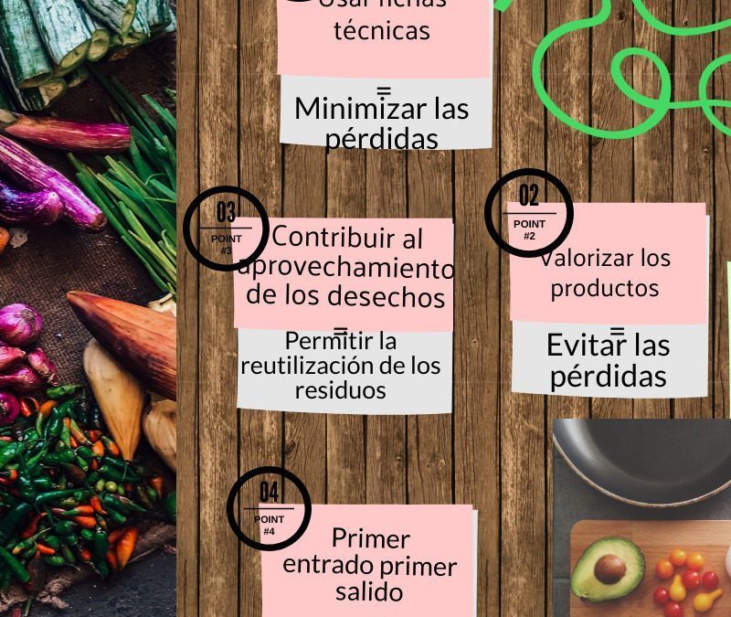 Les élèves de TSTHR1 impliqués dans le développement durable